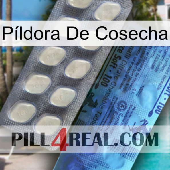 Píldora De Cosecha 34.jpg